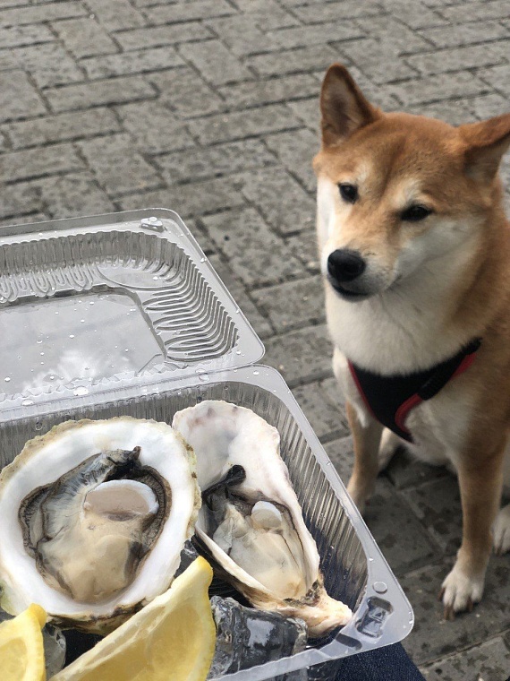 фото из личного архива Виктории