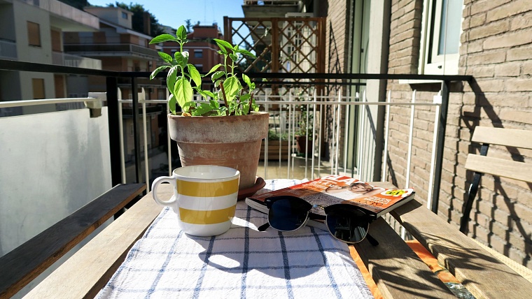 Пока вы спали: Трамп угрожает Ирану, казначея Ватикана судят, а прописку на даче разрешили