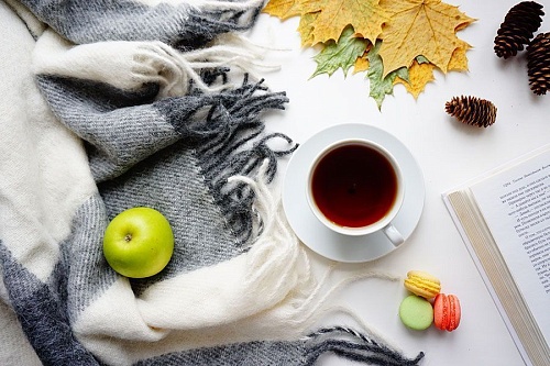 Пока вы спали: теракт в центре Киева, в самолет – налегке, а пожилой шаман сварился в котле во время обряда