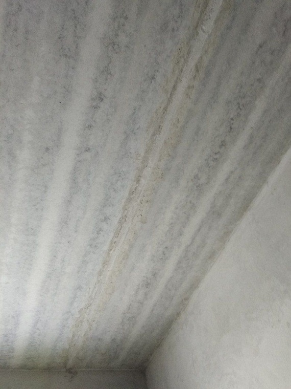 Тайный квартирный покупатель: ЖК «Линейная»