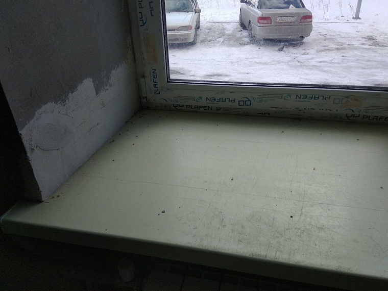 Тайный квартирный покупатель: ЖК «Линейная»