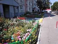 Двор на ул. 30 лет Победы победил в конкурсе «Цветы у дома моего»