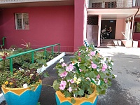 Двор на ул. 30 лет Победы победил в конкурсе «Цветы у дома моего»