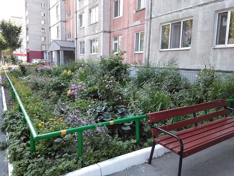 Двор на ул. 30 лет Победы победил в конкурсе «Цветы у дома моего»