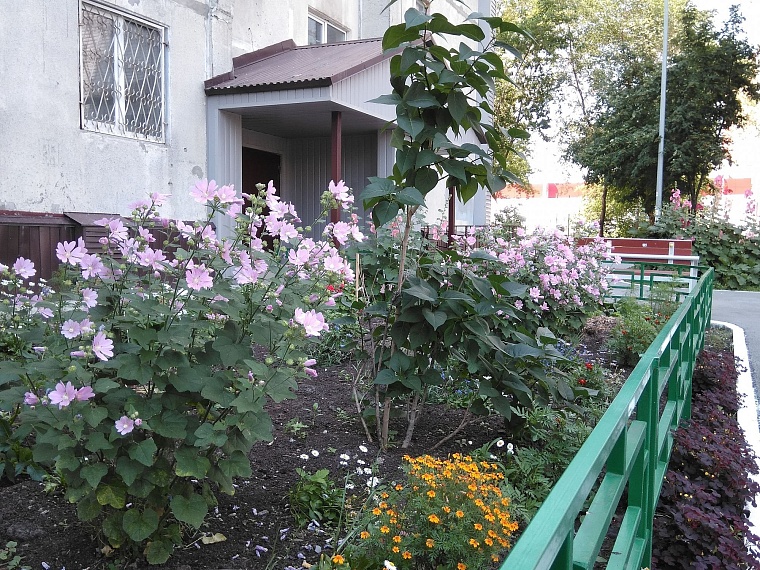 Двор на ул. 30 лет Победы победил в конкурсе «Цветы у дома моего»