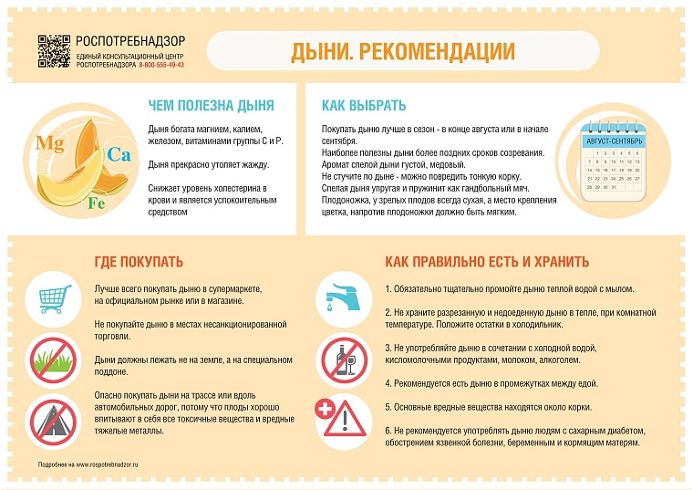 Как выбрать дыню: инструкция "Вслух.ру"