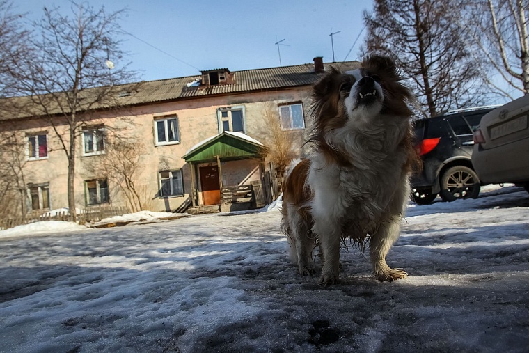 Последняя Камчатка Тюмени