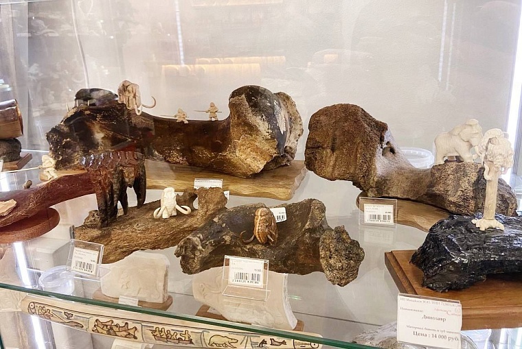 Миллионы лет назад. В галерее «Легенда Сибири» прошла палеонтологическая выставка
