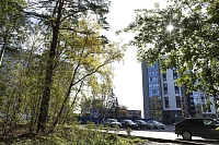 Городская разведка: “Зеленый Мыс” и “Финский залив” - спрятанные в лесу