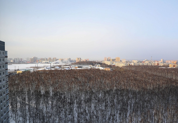 Городская разведка: березовые просторы ЖК "Горизонт"