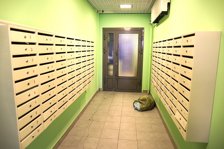 Городская разведка: березовые просторы ЖК "Горизонт"