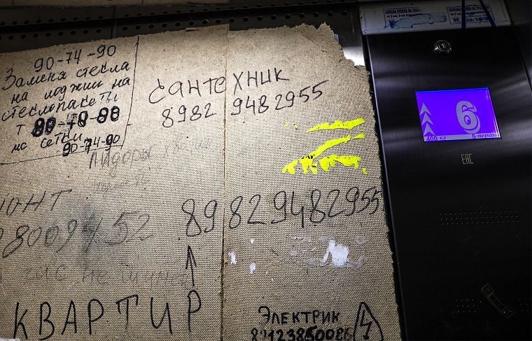 Городская разведка: березовые просторы ЖК "Горизонт"