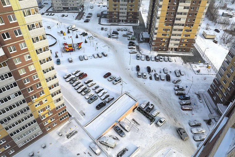 Городская разведка: березовые просторы ЖК "Горизонт"