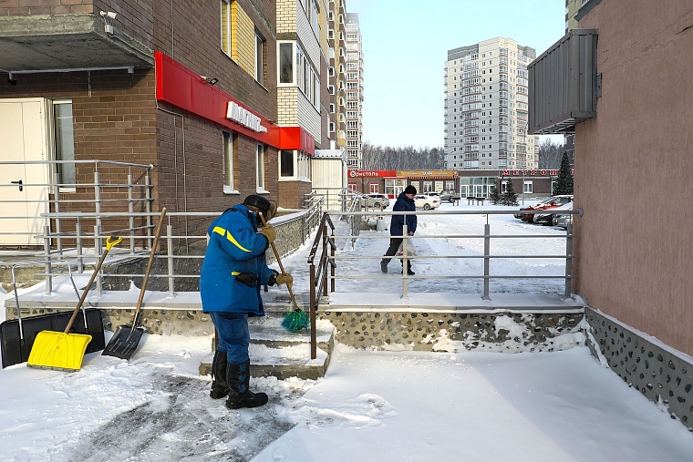 Городская разведка: березовые просторы ЖК "Горизонт"