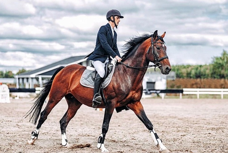 Конный клуб Аллегро, фото из группы в ВК