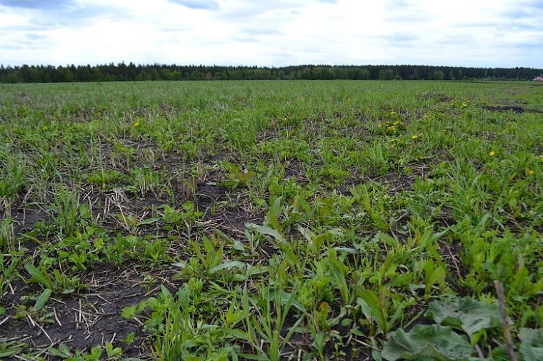 Земля для многодетных семей: участки есть, а коммуникаций нет