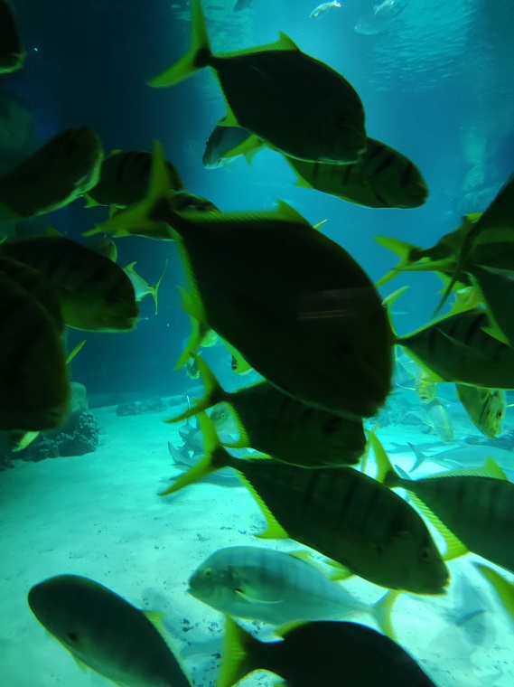 Что посмотреть в Москве, если кажется, что все уже видел