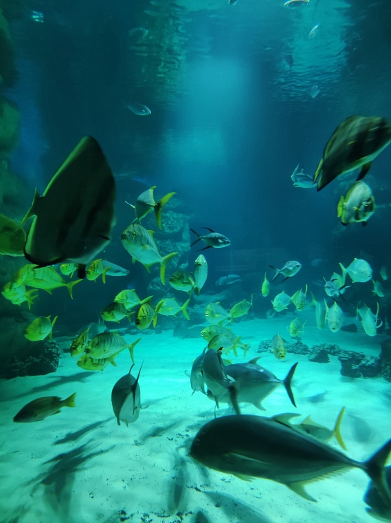 Что посмотреть в Москве, если кажется, что все уже видел