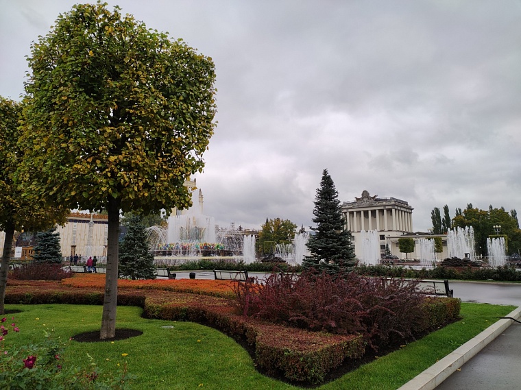 Что посмотреть в Москве, если кажется, что все уже видел