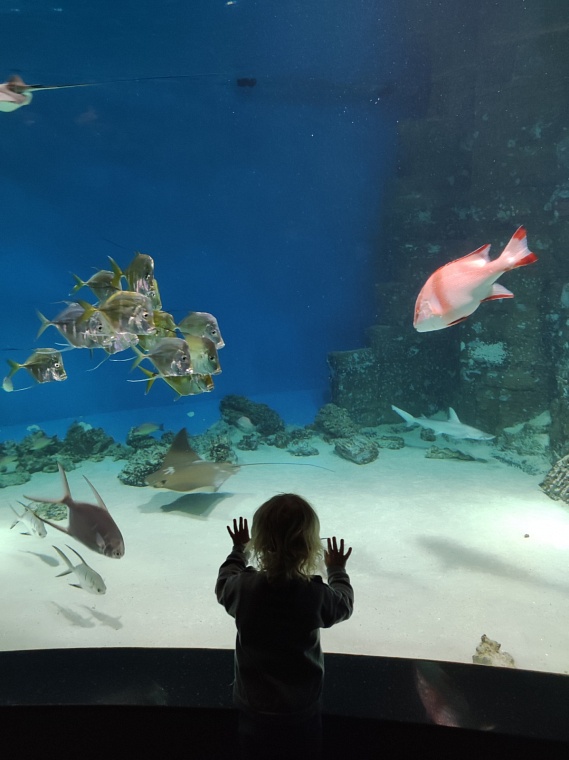 Что посмотреть в Москве, если кажется, что все уже видел