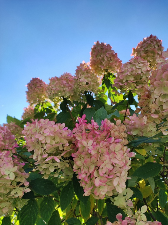 Что посмотреть в Москве, если кажется, что все уже видел
