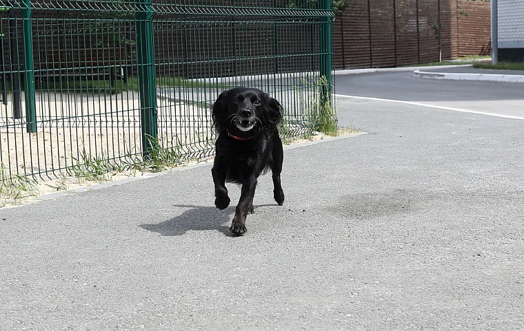 Городская разведка: бабочки и цветочки ЖК "Акварель"