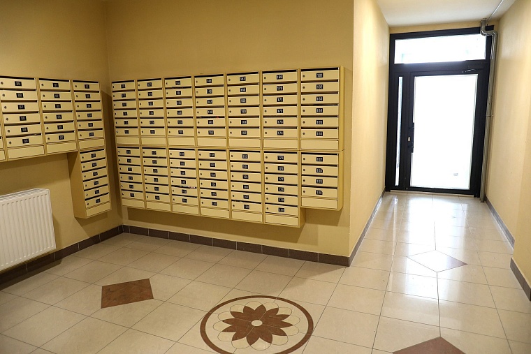 Городская разведка: бабочки и цветочки ЖК "Акварель"