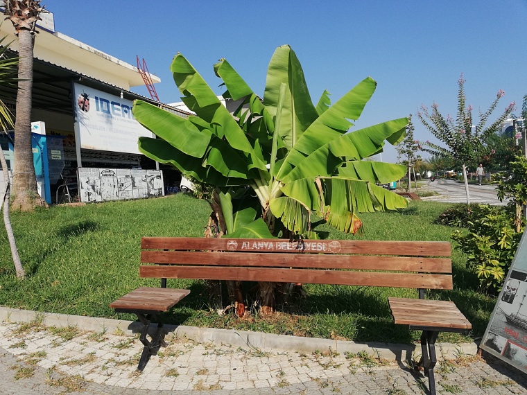 Еда огорожена, напитки в пластике: как изменился all inclusive в Турции