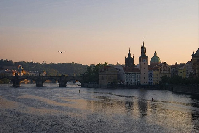 Пока вы спали: безработные лишатся полисов ОМС, начальник поезда принял роды, а Большой призывает молодежь