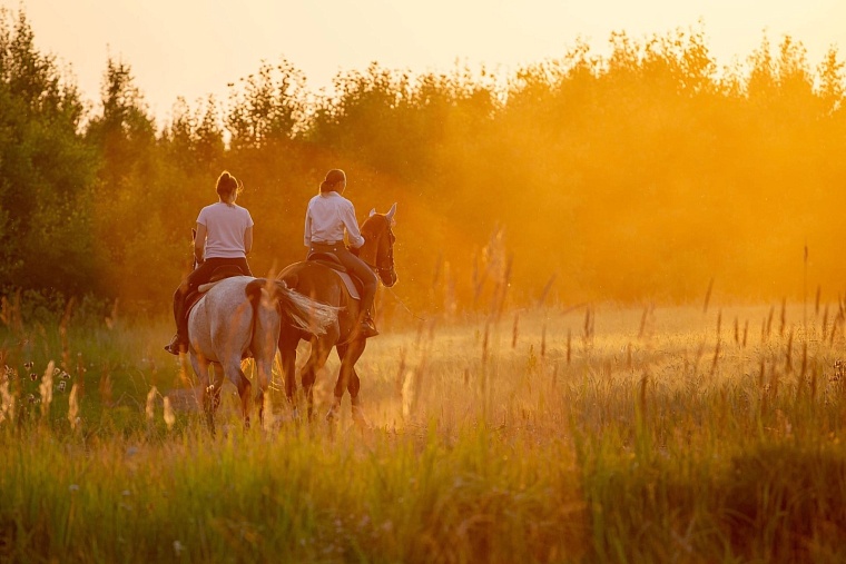 фото Конный клуб в с.Горьковка