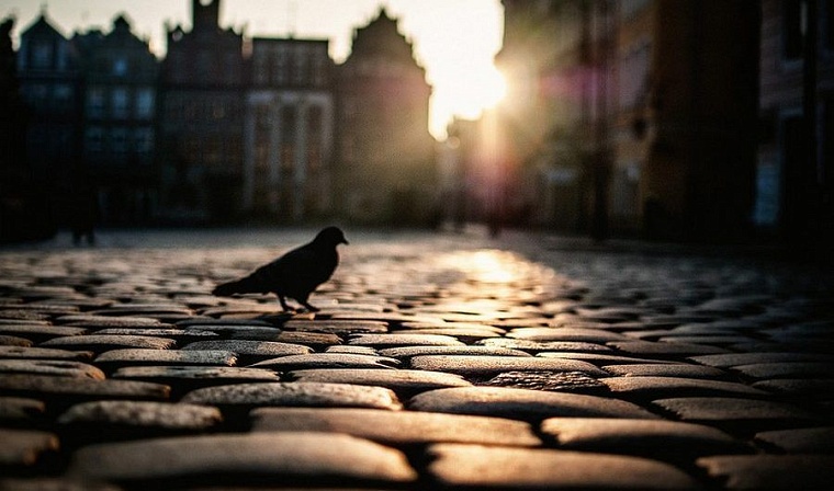 Пока вы спали: грибники сорвали американские учения, банки изучают истории покупок, а Первый покажет интересное кино