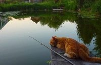 Клюёт: лучшие места для рыбалки в Тюменской области