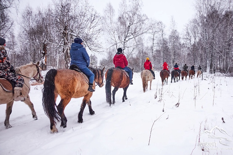 Где покататься на лошадях в Тюмени: семь конных клубов