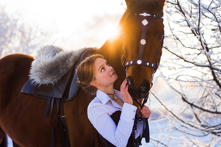 Где покататься на лошадях в Тюмени: семь конных клубов