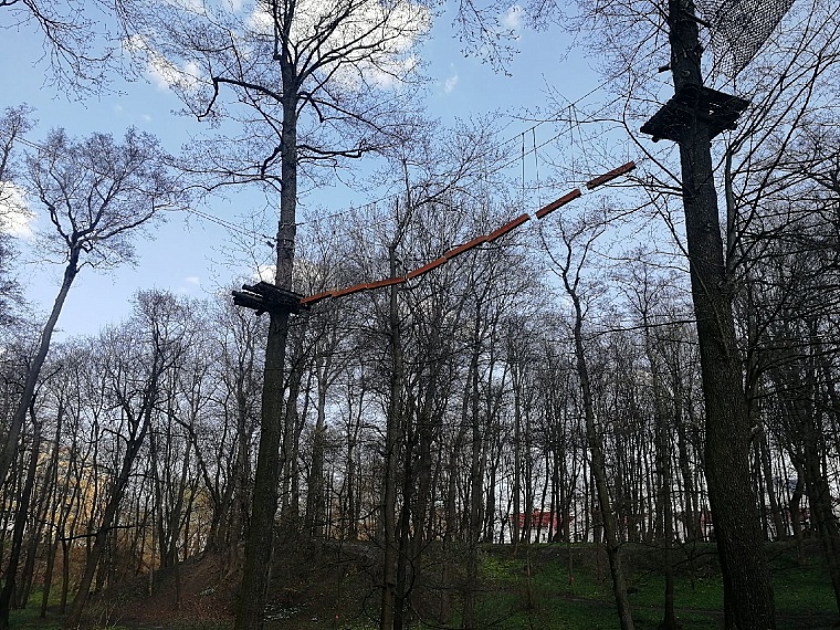 Скоро все это зацветет и распустится