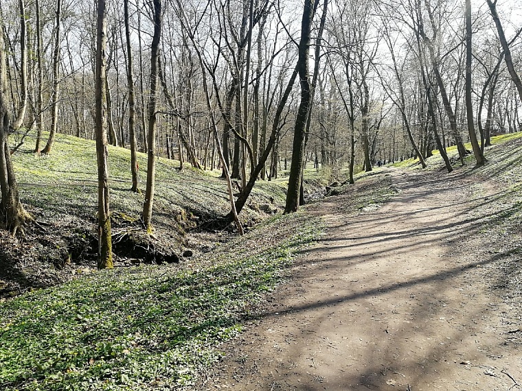 Трава уже зеленеет, но деревья еще пустые