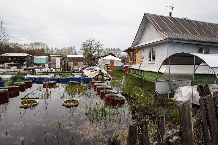 Тюменский полуостров ДОК в воде