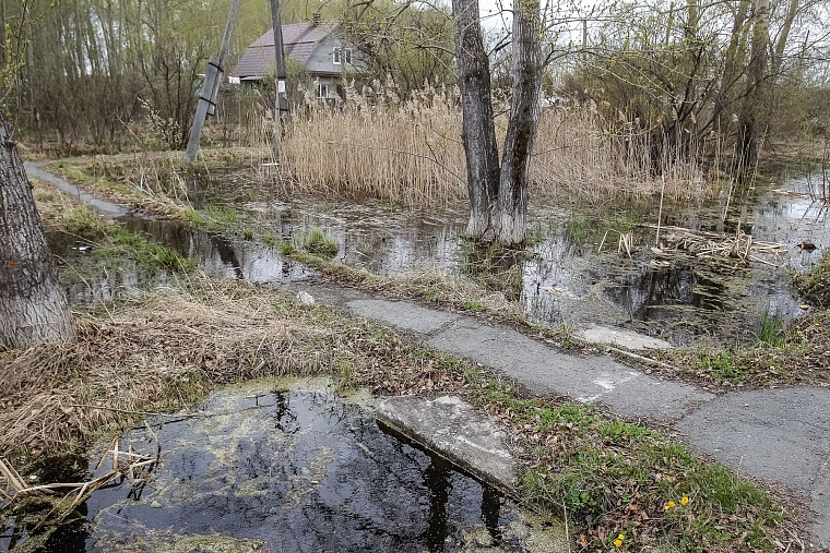 Тюменский полуостров ДОК в воде