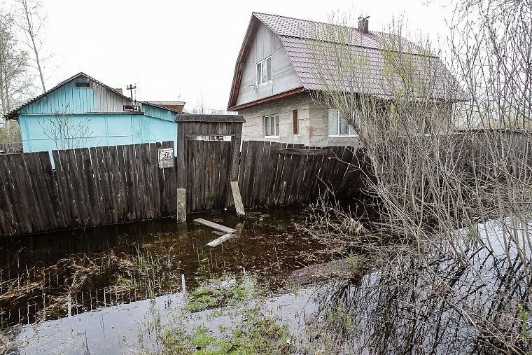 Тюменский полуостров ДОК в воде