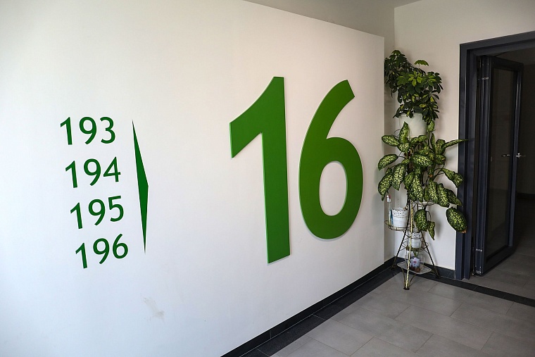 Городская разведка: что скрывает "Новин" за забором