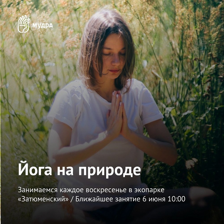 Афиша на уик-энд: йога в парке, чемпионат по тетрису и выставка собак