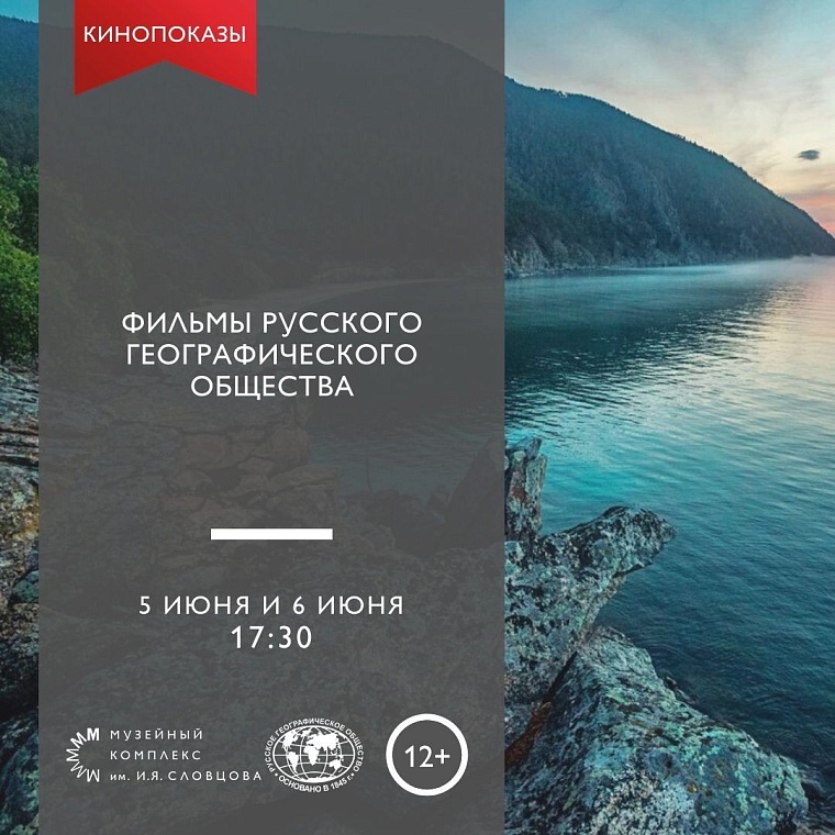 Афиша на уик-энд: йога в парке, чемпионат по тетрису и выставка собак