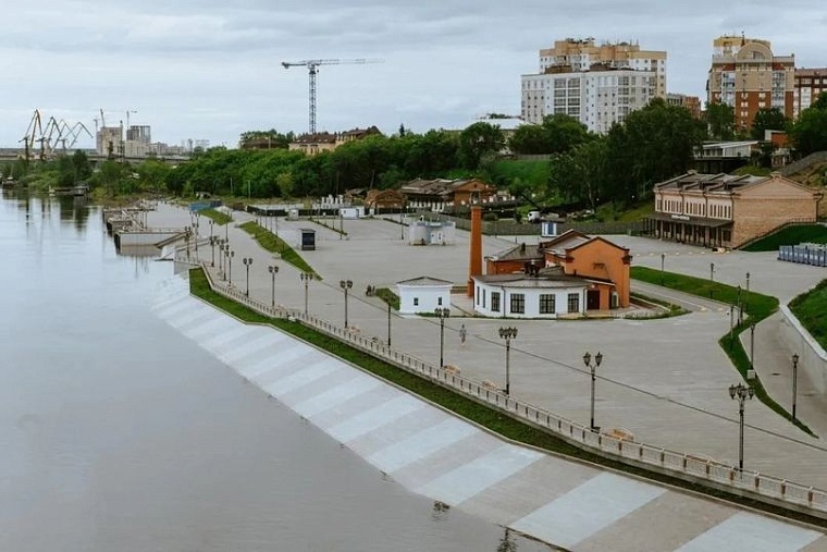 Афиша на уик-энд: йога в парке, чемпионат по тетрису и выставка собак