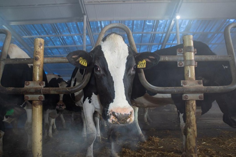 Эксперт прокомментировал итоги рабочей поездки в Нижнетавдинский район губернатора Тюменской области