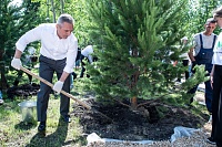 Губернатор Александр Моор посадил деревья в Аптекарском саду в Тобольске