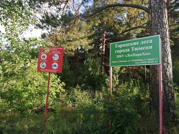 В Тюменской области прогнозируют повышенную опасность лесных пожаров в апреле и мае