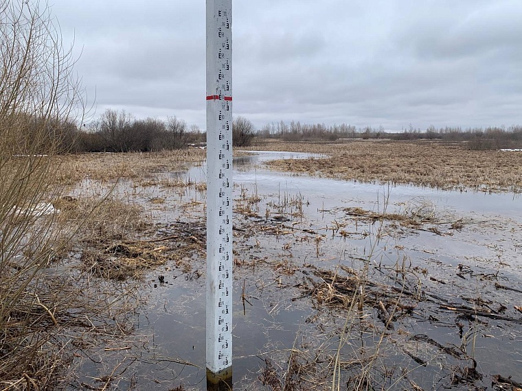 Александр Моор: Уровень воды в Ялуторовске и Ялуторовском районе превысит исторический максимум