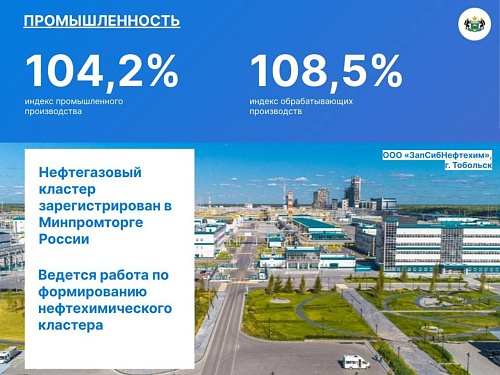 В Тюменской области формируется нефтехимический кластер