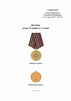 Путин подписал Указ об учреждении медали «За храбрость»