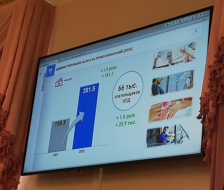 В Тюменской области растет число самозанятых и поступления в бюджет от их деятельности